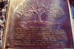 liberty-tree-plaque