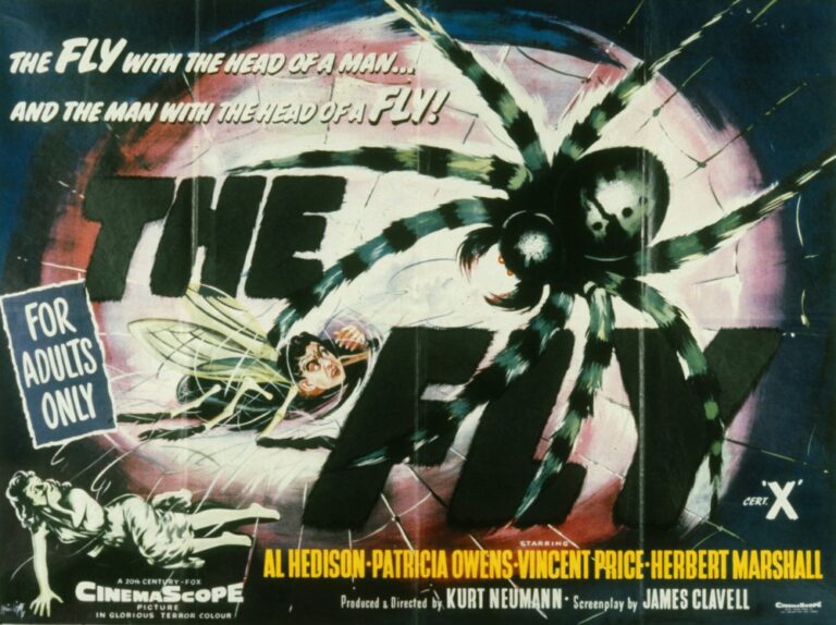 The Fly, Source- bfi.org.uk