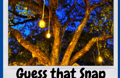 Snapshot Sunday: Guess that snap!
