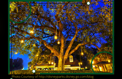 The Coolest Tree at Disney World!